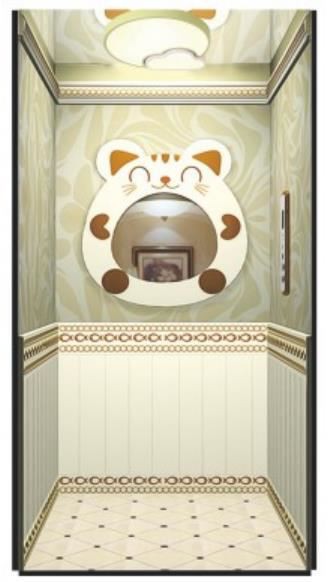 Cute Villa Elevator Home Lift